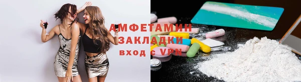 стаф Аркадак