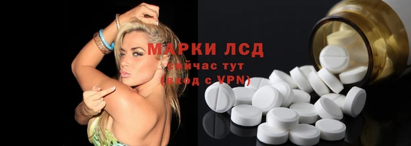 стаф Аркадак