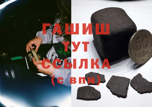 стаф Аркадак
