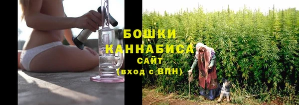 стаф Аркадак