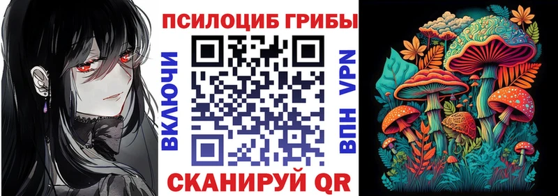как найти закладки  Старица  сайты даркнета как зайти  Псилоцибиновые грибы Psilocybe 